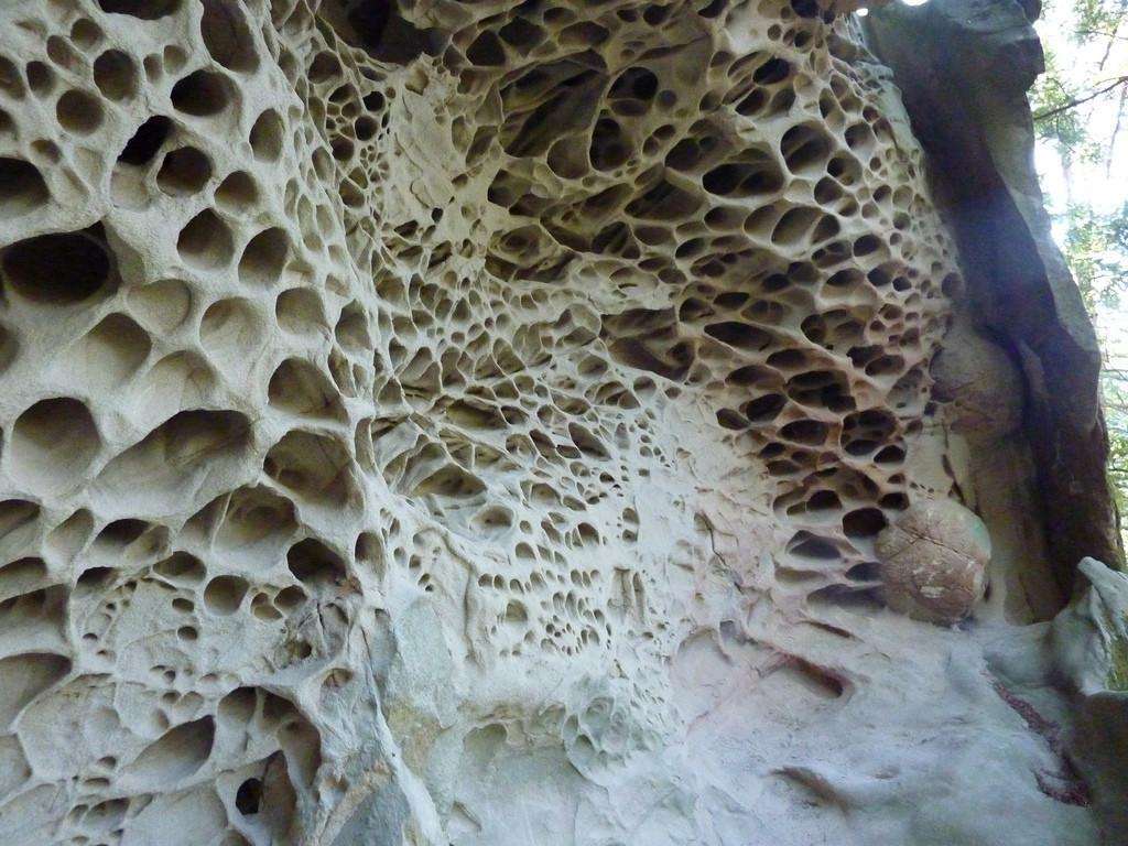 Фото трпипофобии – песчаная стена скалы